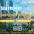 Freight international de la mer de Shenzhen à Busan en Corée du Sud