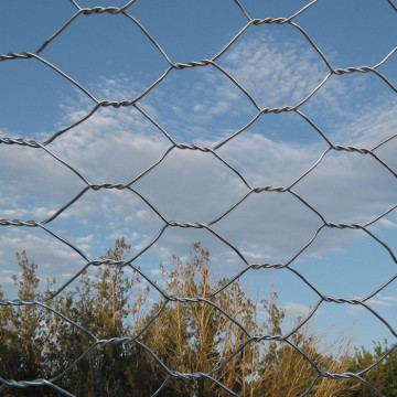 Hot dipped Galvanized Chicken Wire Mesh