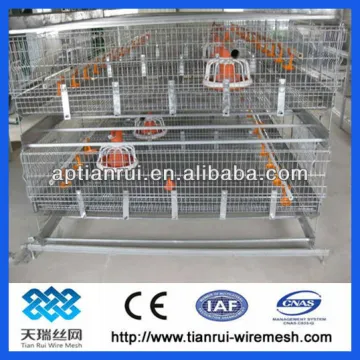 chicken cage for farm ( factory)