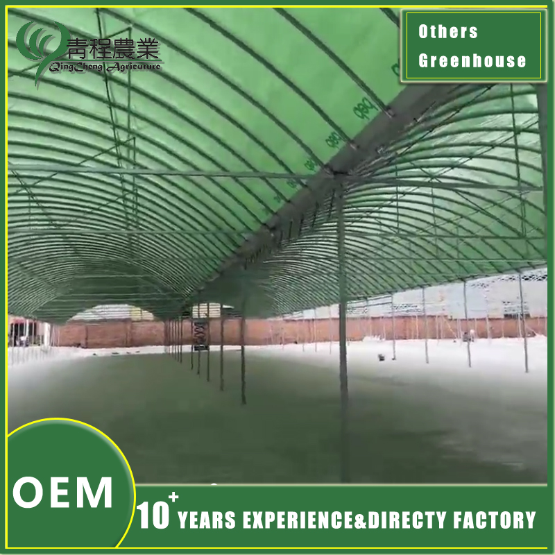 Efficient Large Capacity Greenhouse Warehouse