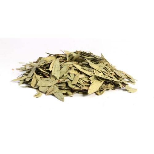 Other market Senna Leaf Extract Sennosides 20% Supplier