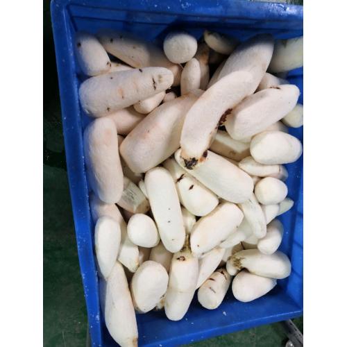 Cassava Patata Peeler Peeler Szile Scale Peeling Machine