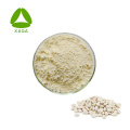 Bulk White Nier Bean Extract Phaseolin 1% poeder