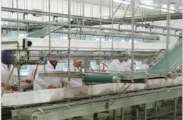 Habasit HabaGUARD antimicrobial belts