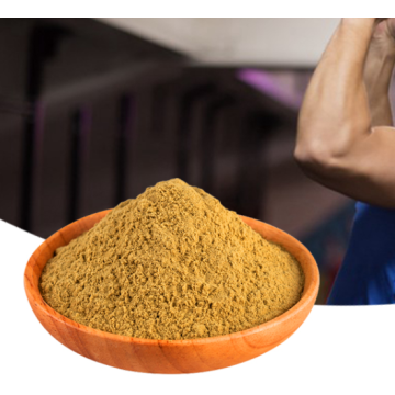 Horny goat weed powder epimedium extract