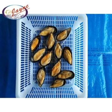 Hot selling 2020 natural delicious selling products iqf blue mussel