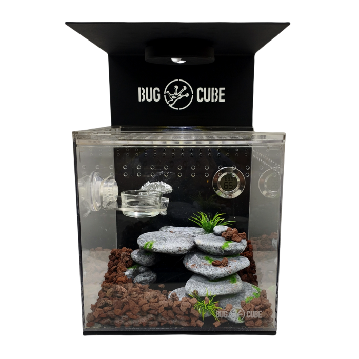 Caixa de criação de acrílico de tamanho personalizável para répteis