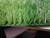 Wide U shape with stem and green yarn grass for football field