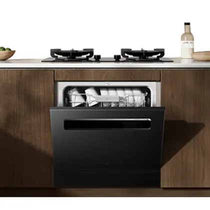 Professional Kitchen Sink Built-In Dishwasher: 13 Set Home Solution