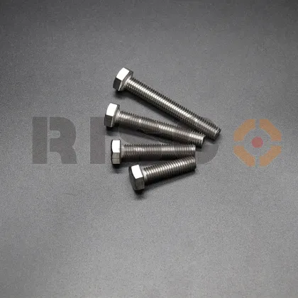 High quality SS304 hex bolt Risco