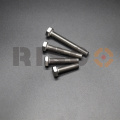 عالي الجودة SS304 Hex Bolt Risco