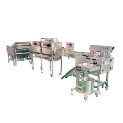 Industrial Egg Washing, Drying, Sterilization, Inspection, and Separation Machine