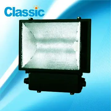 Energy saving electrodeless flood light housings lamps