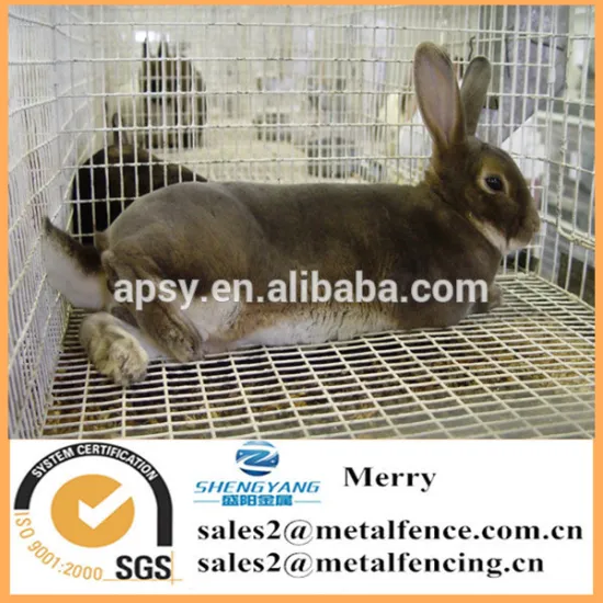 1/4X1/4 inch 304 staniless steel welded mesh 14 gauge rabbit cage floor mesh
