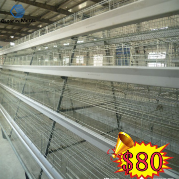 Automatic feeding system electric chicken cage