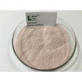 Fresh High Quality Prune Powder for Recipes