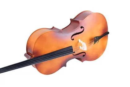 Tayste Quality Maple Cello 4/4