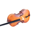 Tayste Quality Maple violoncelle 4/4