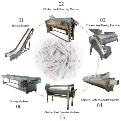 Automatic Poultry Chicken Feet Processing Machine - Chicken Feet Blanching Machine & Production Line