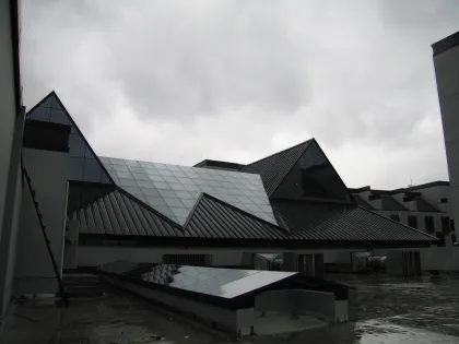 Qihong International Hotel Grid Roof Project