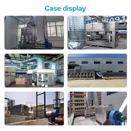 High Efficiency Organic Waste Gas Treatment Equipment