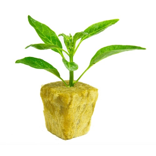 Hydroponic rock wool for plants growing