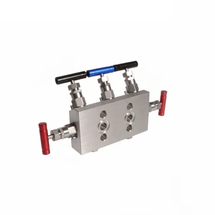 6000psi Stainless Steel Instrument Air 5-Valve Manifold with Needle Valve