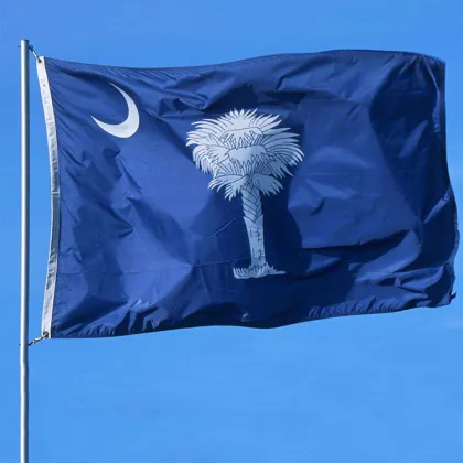 High quality 3x5 Ft South Carolina State Flag