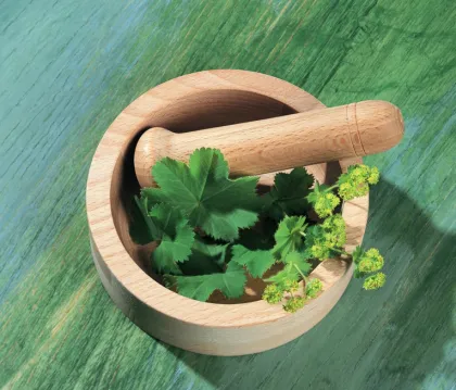 Herb Pharm Milk Thistle Extract Supplement/more concentrated extract