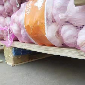 New Chinese garlic exported to Russia
