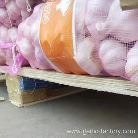 New Chinese garlic exported to Russia