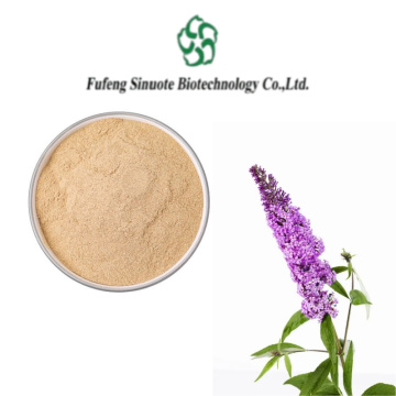 Organic Buddleja Lindleyana Extract for Skin and Health Benefits