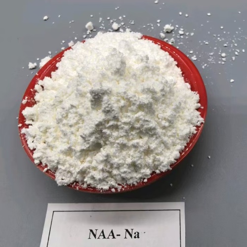 كيفية استخدام الصوديوم NAA-Na في أمريكا الجنوبية