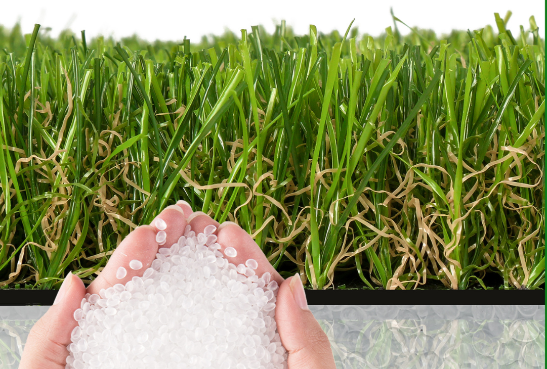 landscape turf grass