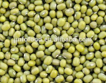 Green Mung Bean