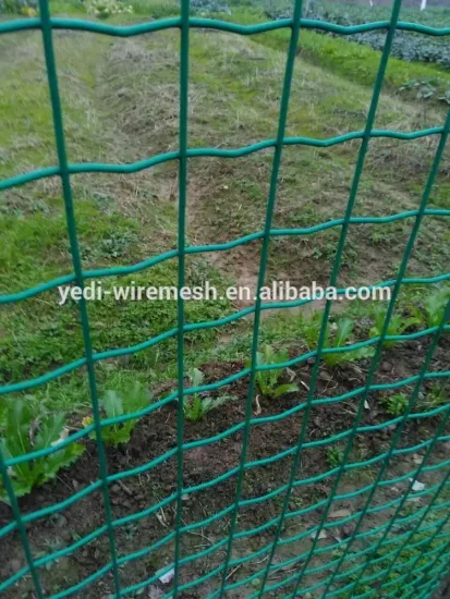 PVC coated welded wire mesh for plants protection and garden fence
