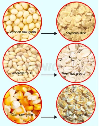 Commercial Machinery for Producing Rice, Wheat, Beans, Oats, Flakes, and Corn Flakes