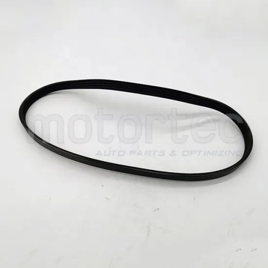 Spare Parts for BELT WATER PUMP 1021003C0300 - DFSK K05S