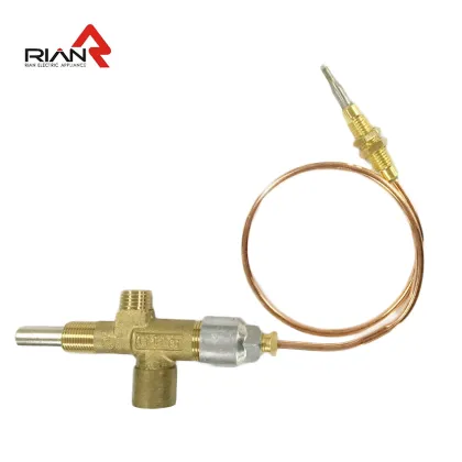 Control Valve and Safety Valve for Burner Gas Heaters: Understanding Internal Magnet Technology