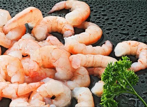 Variety of frozen red shrimp