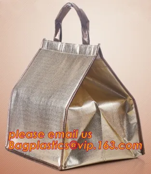 student outdoor picnic bag pack thermal foil insulation bag of environmental protection