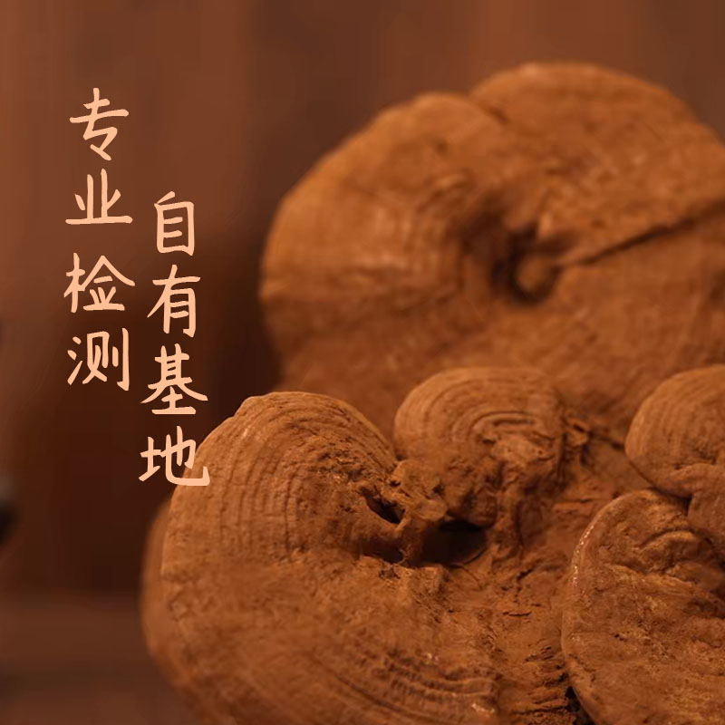 Ganoderma lucidum spore powder