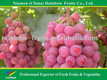 fresh fruit red grape