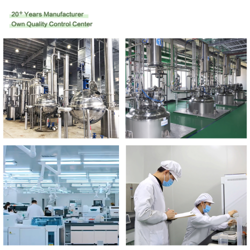 Екстракт от Gyminena Silvestris за здрави нива на кръвна захар