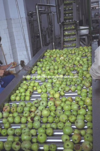 Apple Juice Processing Line