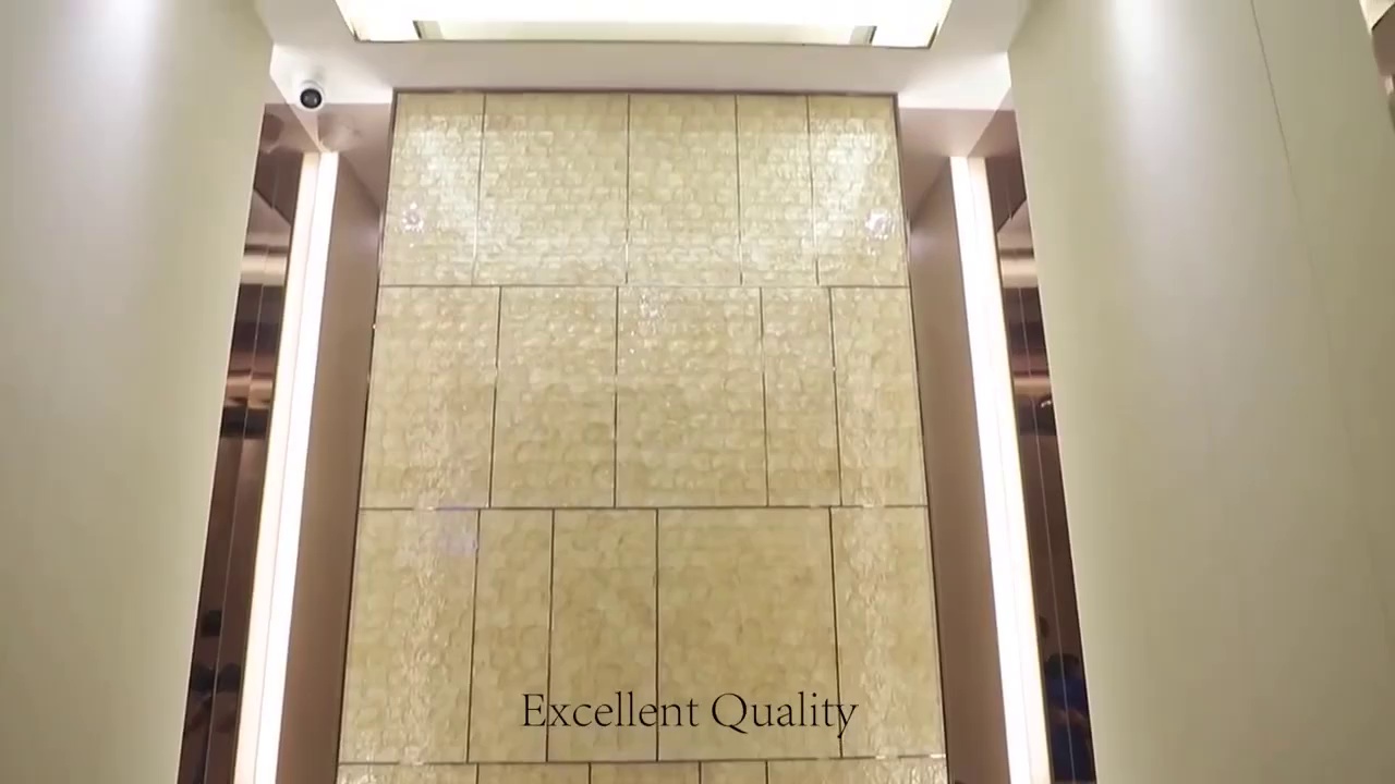 Small Machine Room Lift and Vertical Commercial Residential Passenger Elevator