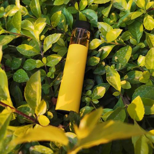 New Promotion Terminator XL Vape Kits Vaporizer