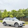 Bestune T90 2023 2.0T Automatic Flagship Model
