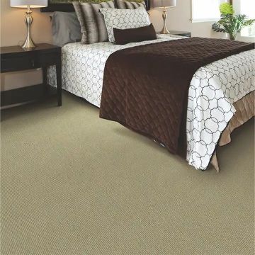 Floor Plain Carpet Karpet Tapete Alfombra Tappeti Nylon Woven Cut Loop Pile Tufted Home Wall to Wall Carpets