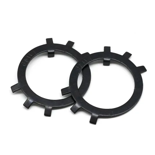 Alloy Steel Pair Locking Washers